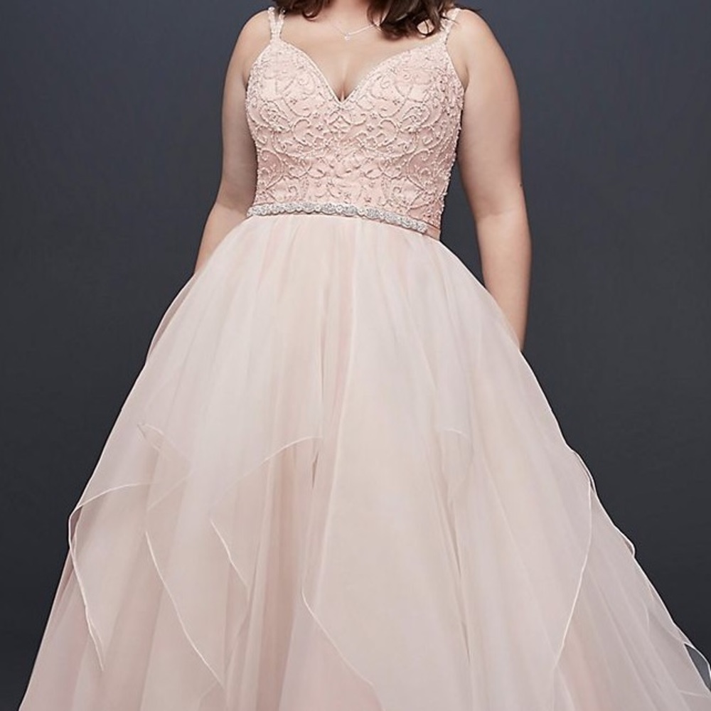 Plus Size Wedding Dress. David’s bridal collection